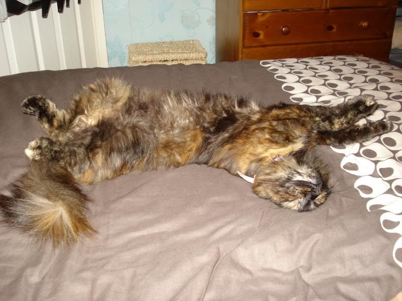 Picture623.jpg