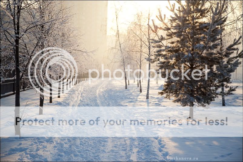 детский фотограф