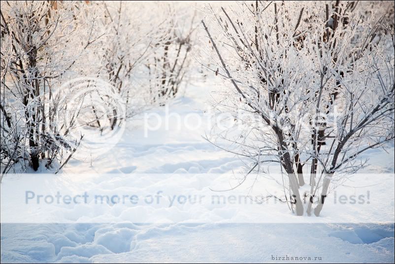 детский фотограф