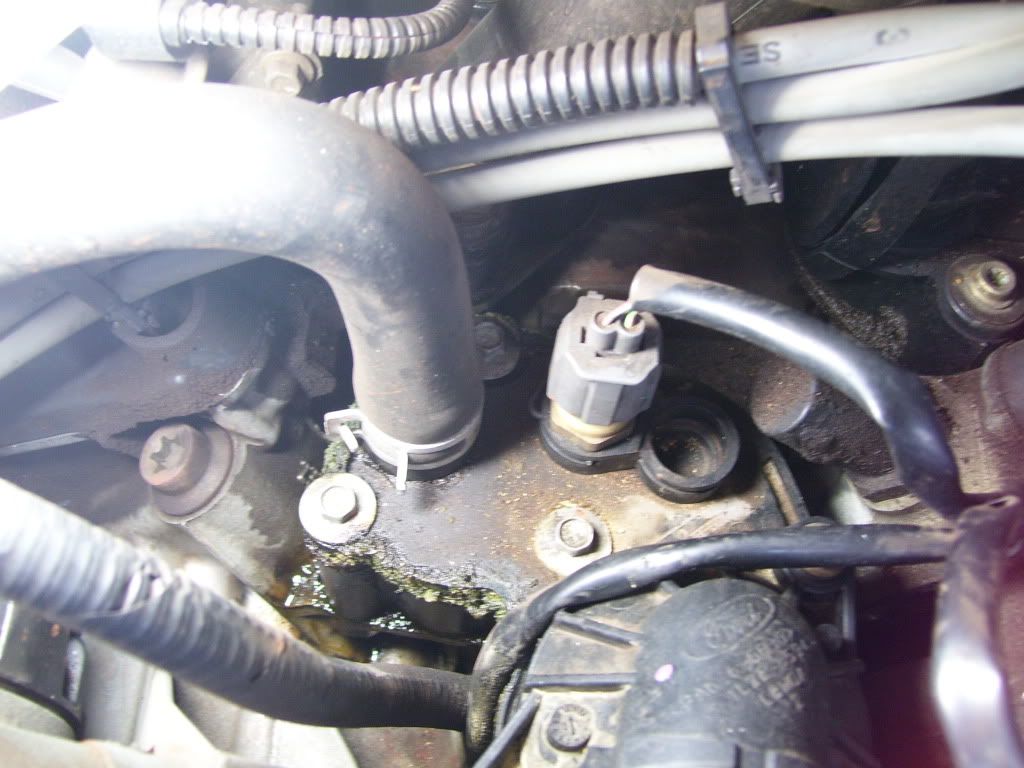 Ford focus leaking water under engine #5